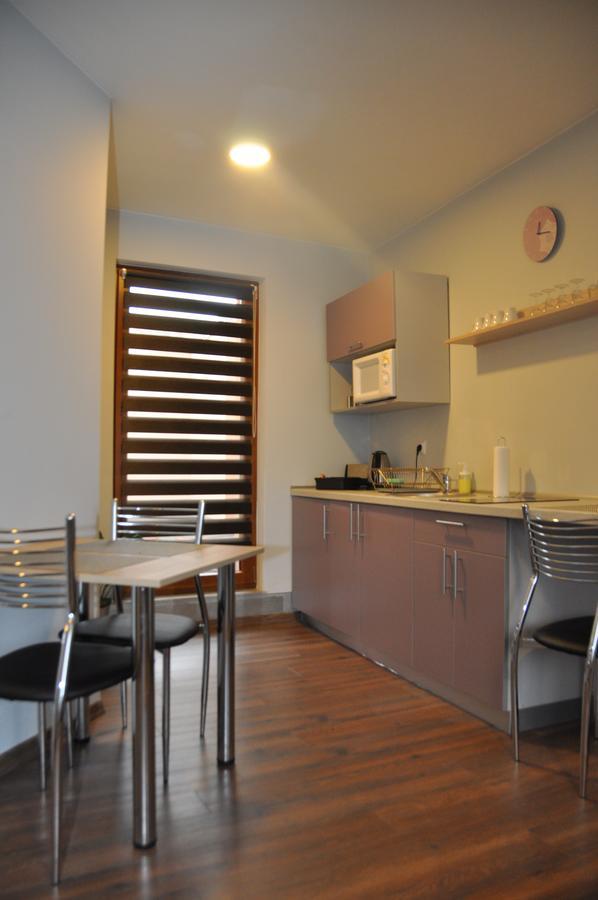 Przy Starowce Apartment